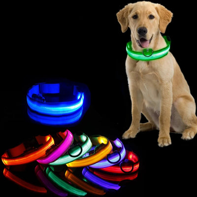 LED Anti-Lost Dog Collar