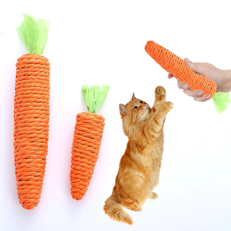 Interactive Carrot Chew Toy for Cats AliExpress