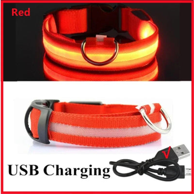 USB LED Glow Dog Collar