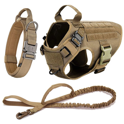 Large Dog Harness & Leash Set