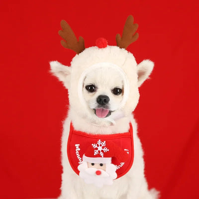 Christmas Pet Cat Dog Hat Santa Small Puppy Xmas Holiday Costume Ornaments Cosplay Props Caps 2025 Christmas Party Pet Supplies Poochi Paws