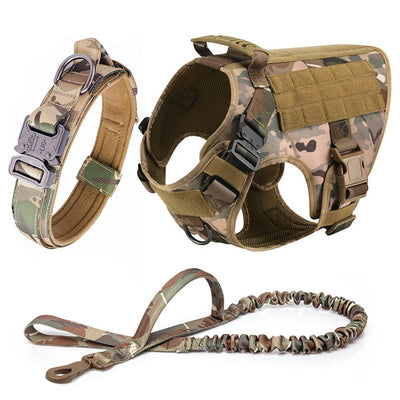 Large Dog Harness & Leash Set