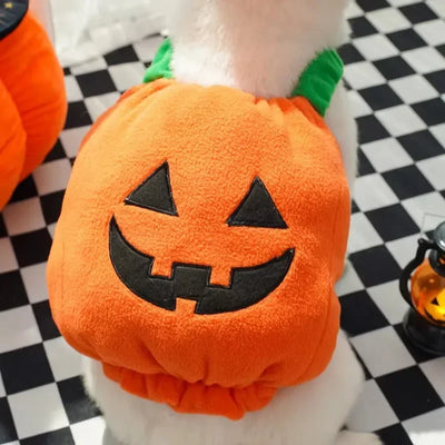 Funny Pumpkin Dog Halloween Costume with Hat AliExpress