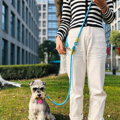 Reflective Nylon Dog Leash for Safe Hands-Free Walking AliExpress