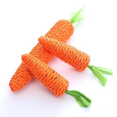 Interactive Carrot Chew Toy for Cats AliExpress