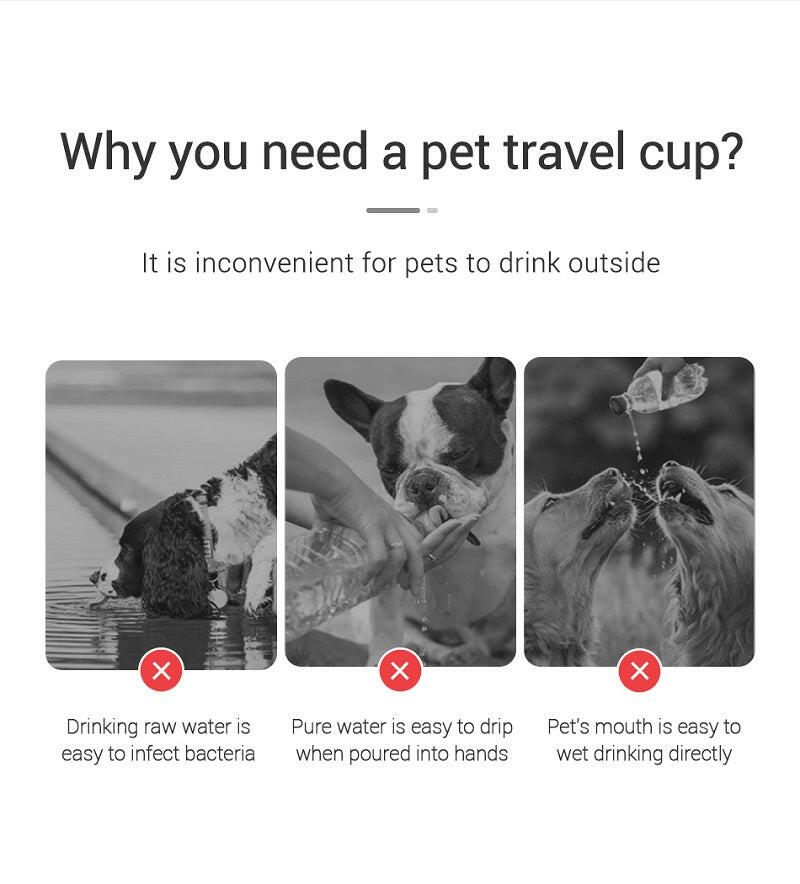 Portable Leakproof Pet Water Bottle