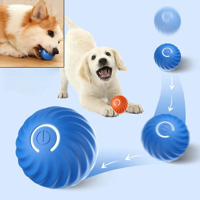 USB Smart Bouncing Dog Toy Ball AliExpress