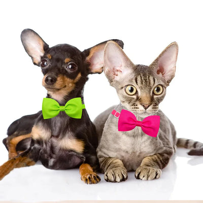 Colorful Pet Bow Tie Set