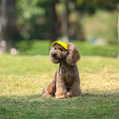 Adjustable Pet Dog Travel Cute Baseball Hat Sun Cap Visor Hat with Ear Holes Outdoor Sport Pet Supplies Poochi Paws