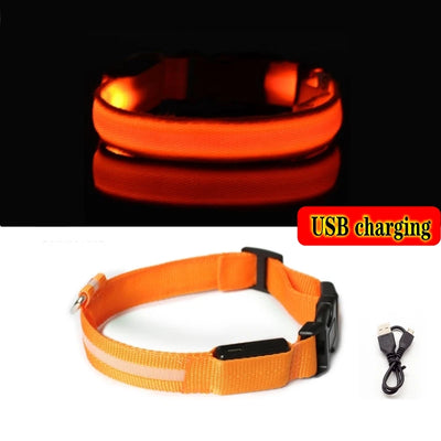 LED Anti-Lost Dog Collar