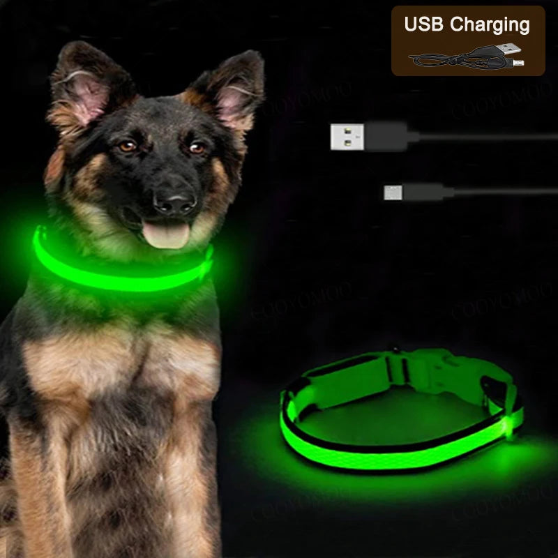 USB LED Glow Dog Collar