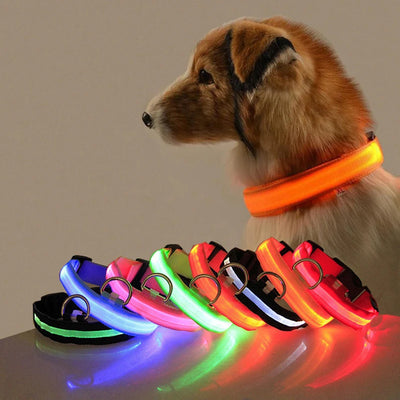 LED Anti-Lost Dog Collar