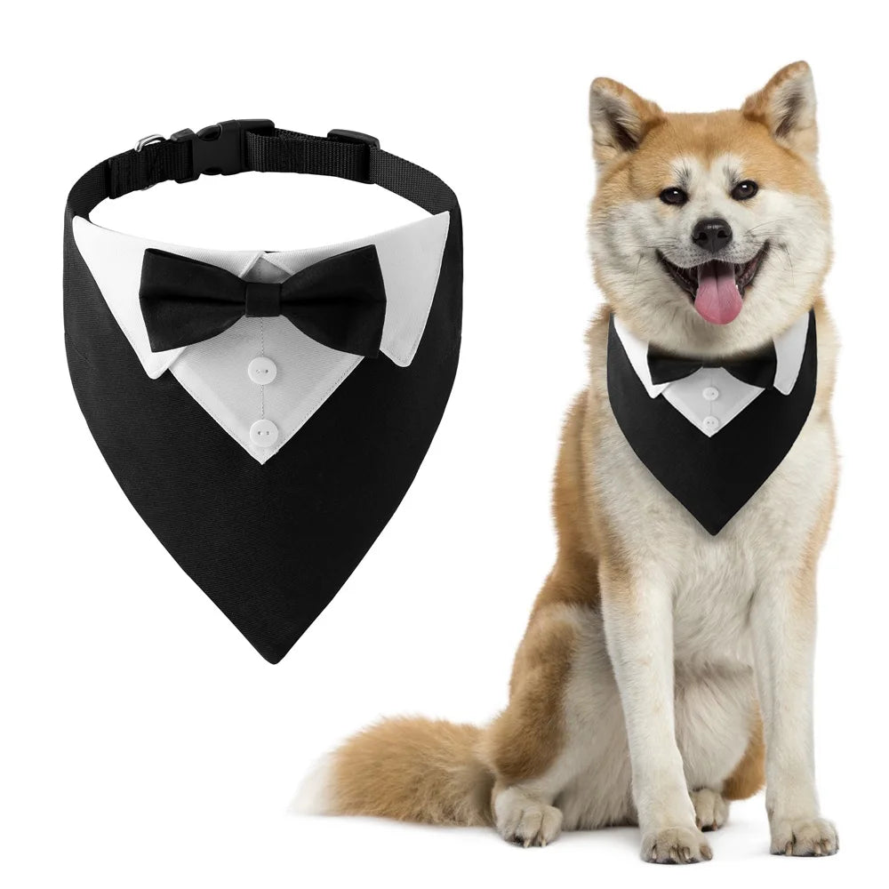 Tuxedo Bow Tie Dog Collar