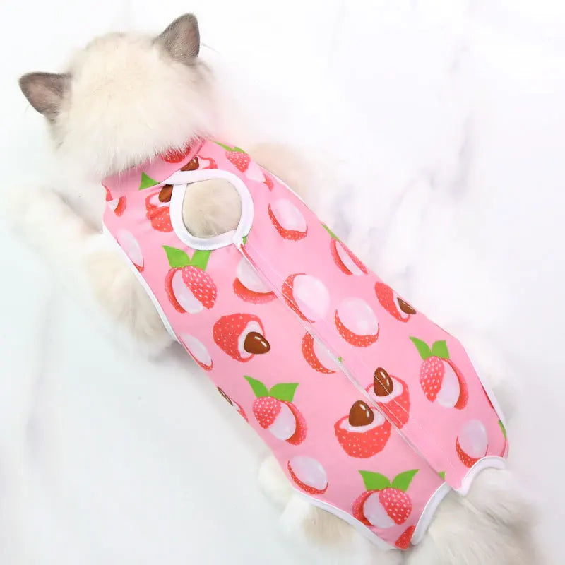 Cat Weaning & Sterilization Suit for Recovery AliExpress