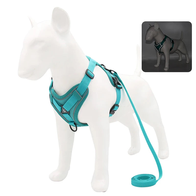 Adjustable Dog Harness Leash Set