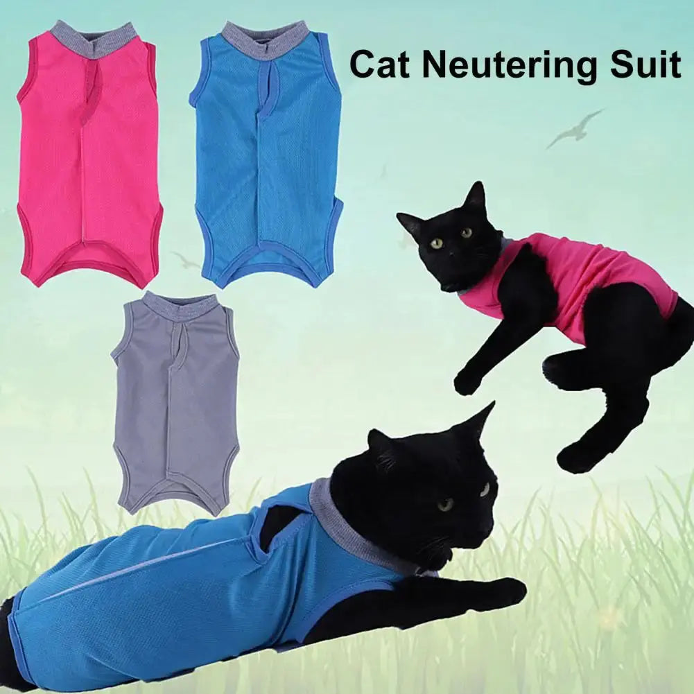 Adjustable Cat Recovery Suit – Comfortable Neutering Vest AliExpress