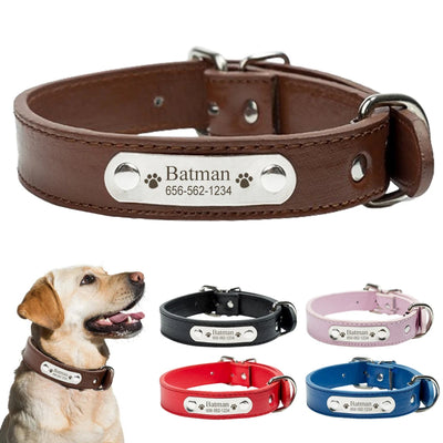 Custom Engraved Leather Dog Collar