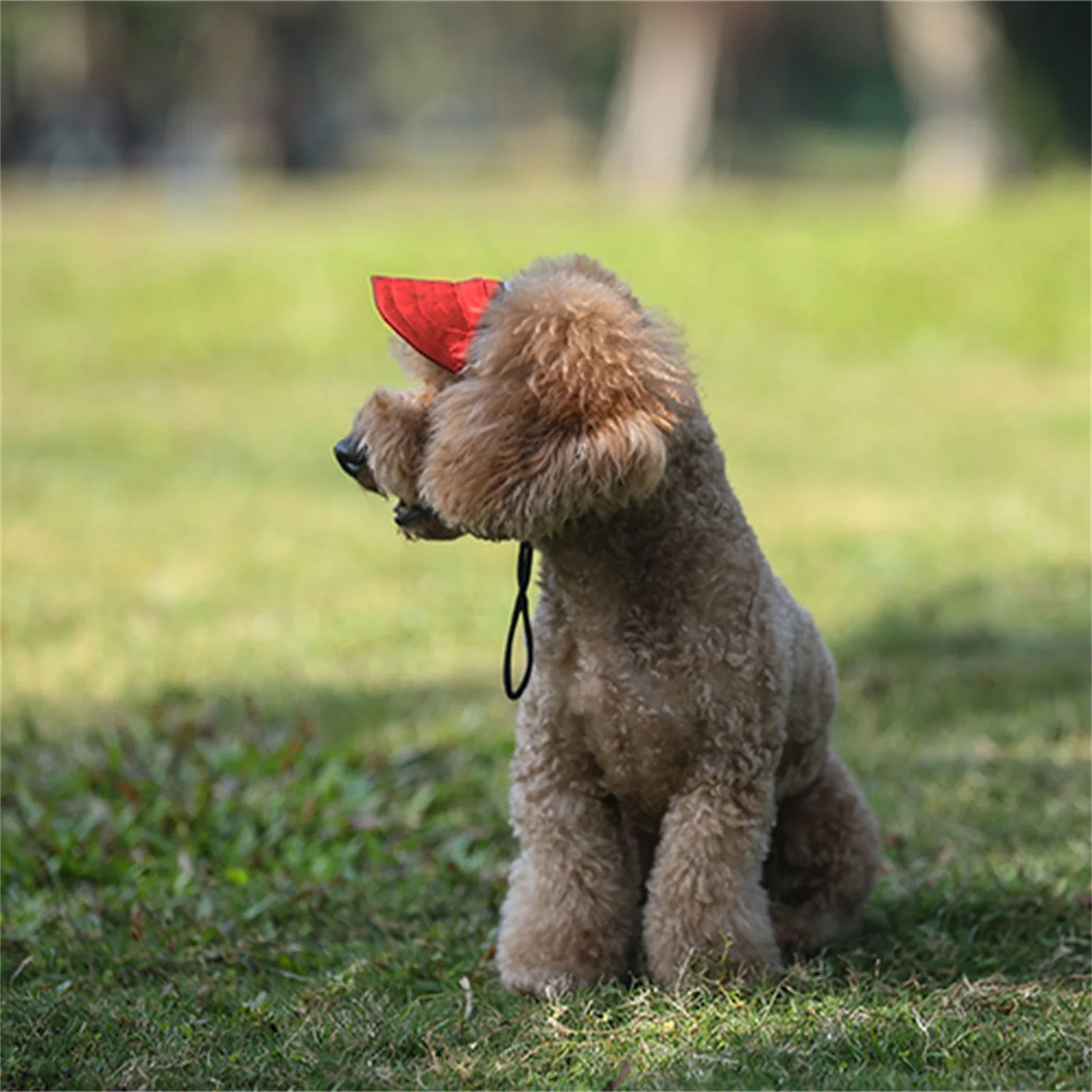 Adjustable Pet Dog Travel Cute Baseball Hat Sun Cap Visor Hat with Ear Holes Outdoor Sport Pet Supplies Poochi Paws