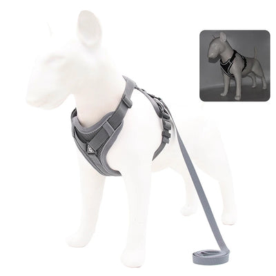 Adjustable Dog Harness Leash Set