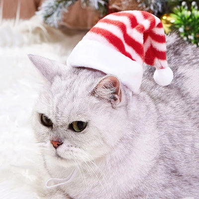 Pet Cat Dog Christmas Hat Cap Puppy Dog Accessories for Small Dogs Dog Costume Dog Hats for Cats Dog Costumes Pet Supplies Poochi Paws