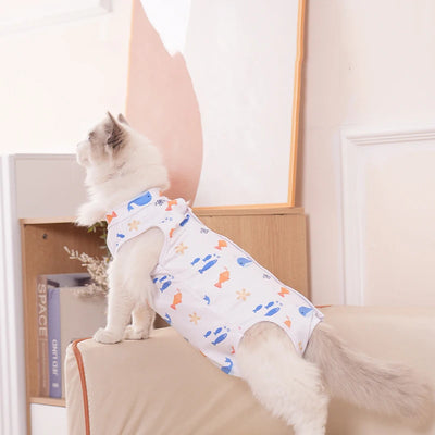 Pet Recovery Suit for Post-Surgery Comfort and Protection AliExpress