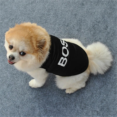 Summer Security Vest for Small Dogs & Cats AliExpress