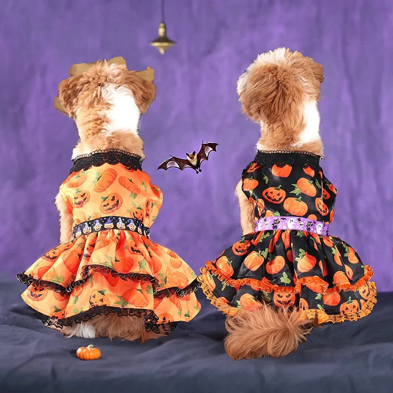 Halloween Pumpkin Lace Dress for Pets - Double Layered Fun AliExpress