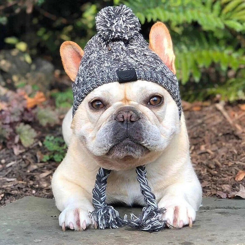 Winter Warm Dog Hats Windproof Knitting French Bulldog Hat For Dogs Chihuahua Hat Fluffy Ball Pet Hat Puppy Accessories Poochi Paws