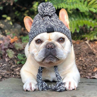 Winter Warm Dog Hats Windproof Knitting French Bulldog Hat For Dogs Chihuahua Hat Fluffy Ball Pet Hat Puppy Accessories Poochi Paws