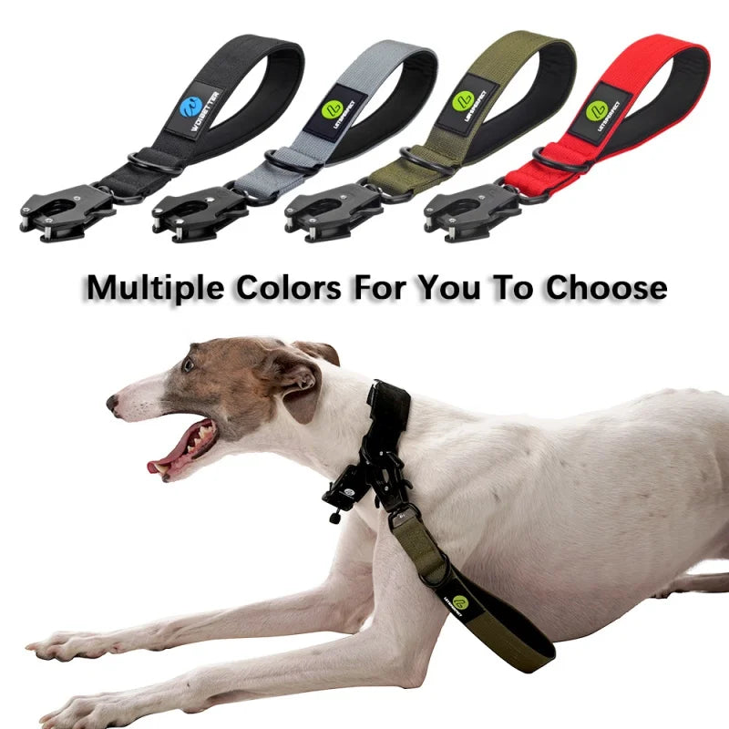 Heavy-Duty Nylon Dog Collar and Short Traffic Lead AliExpress