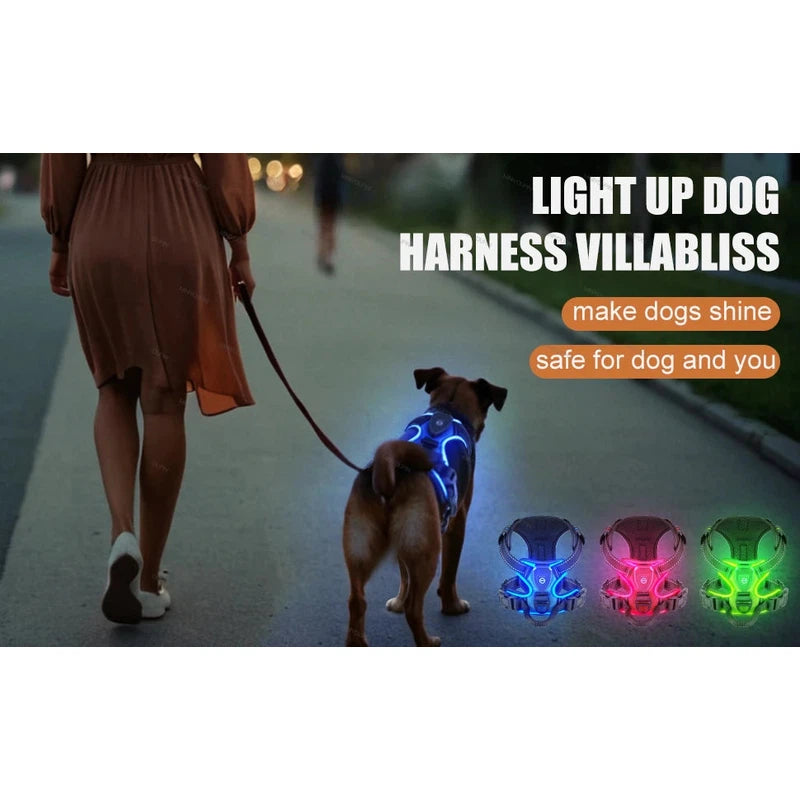 LED Glowing Luminous Dog Harnesses Essential for Dog Walking Safety at Night Dog Vest with Three LED Light Modes Rechargeable Poochi Paws