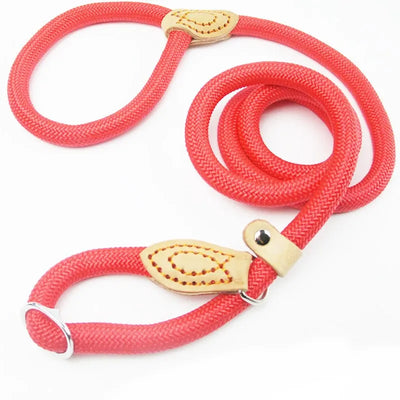 Heavy Duty Braided Dog Leash