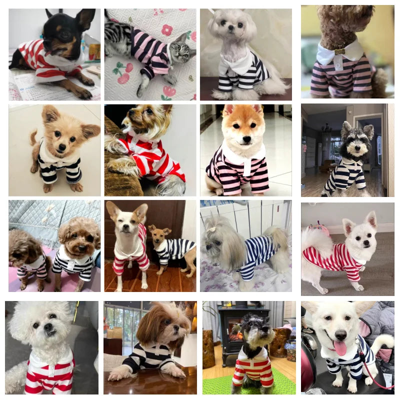 Stylish Summer Polo Shirt for Small & Medium Dogs AliExpress