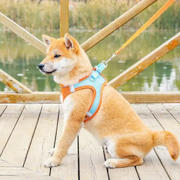 Reflective Adjustable Pet Harness