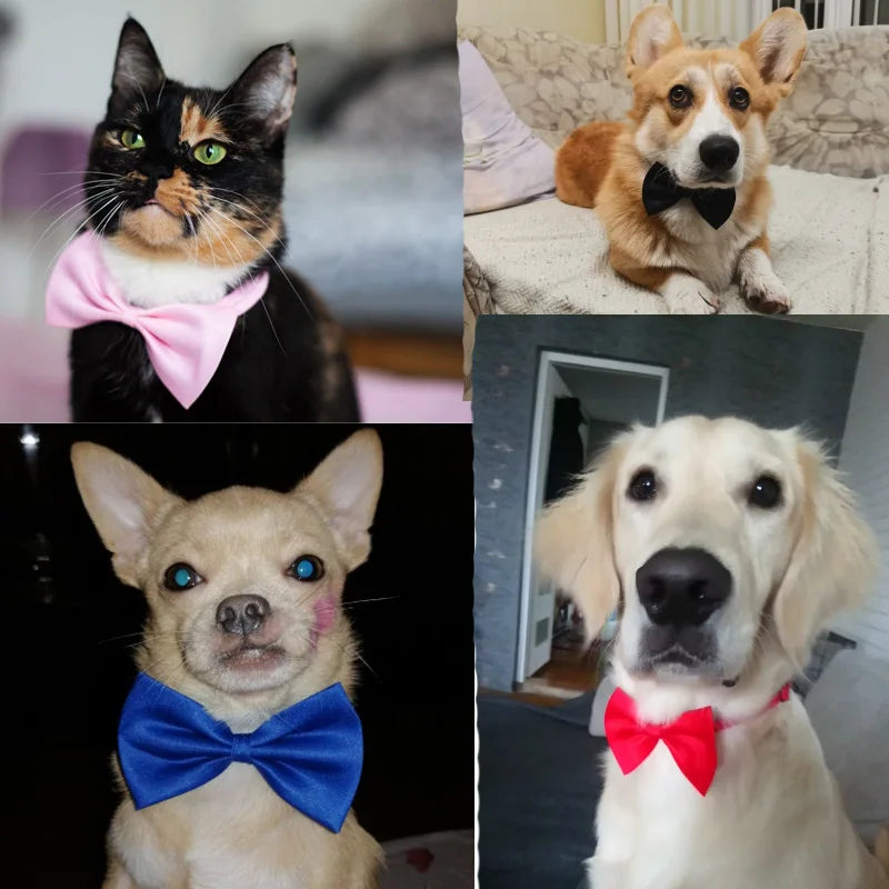 Formal Pet Bow Tie Collar