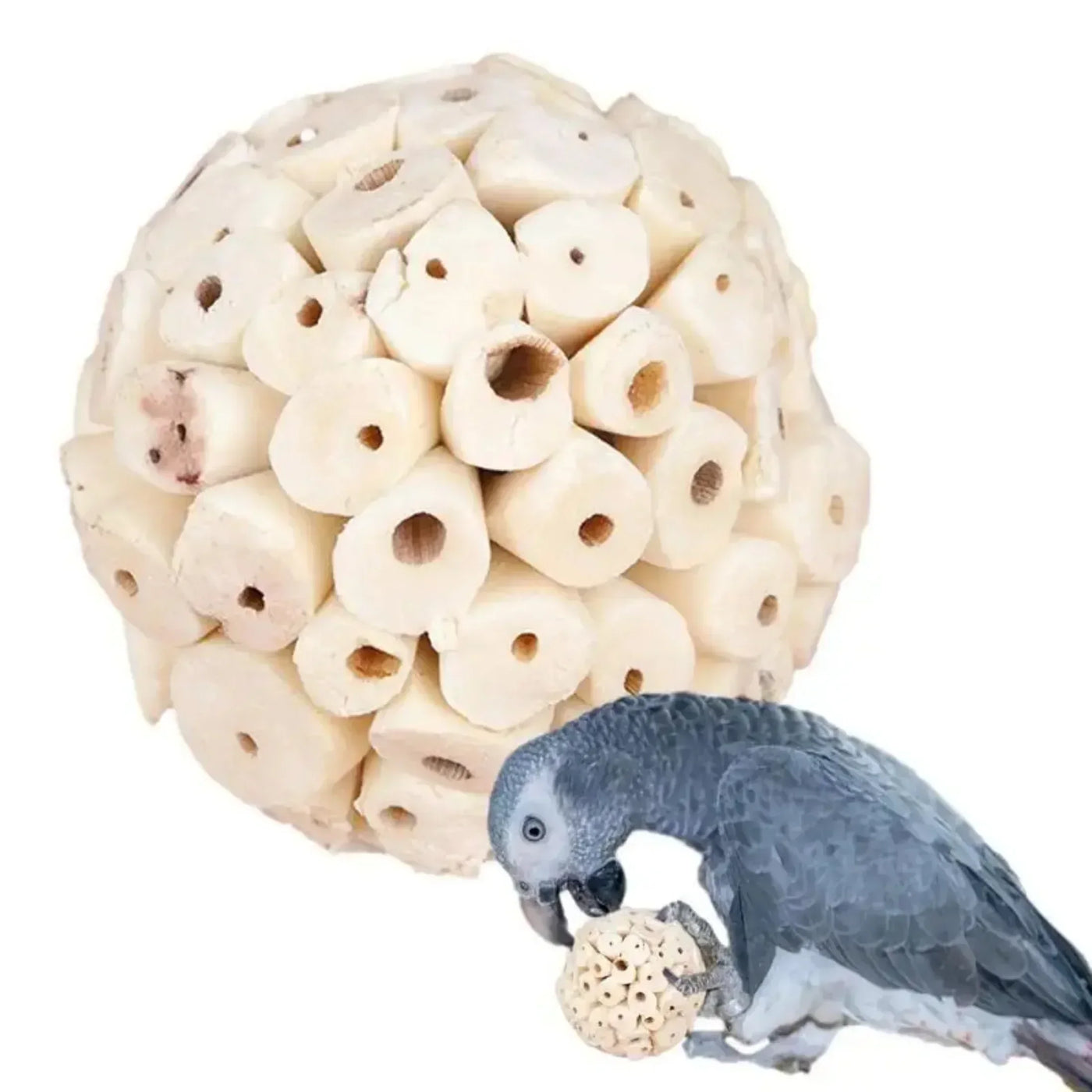 Parrot Chew and Foraging Ball Toy for Birds AliExpress