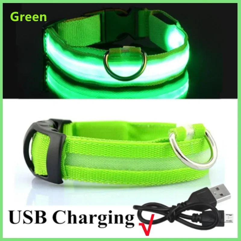 USB LED Glow Dog Collar