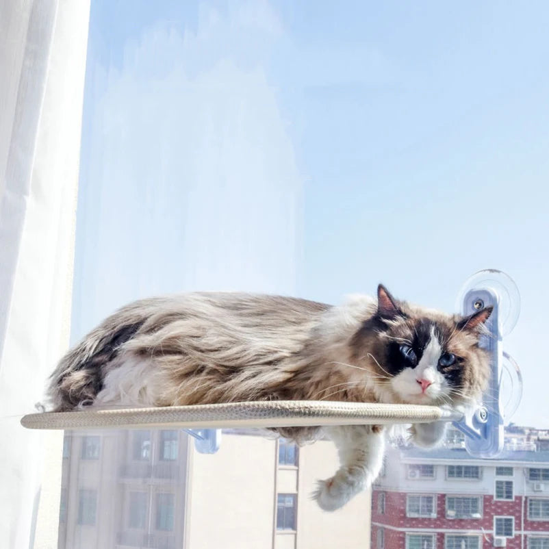 Cat Hanging Nest with Suction Cup Swing AliExpress