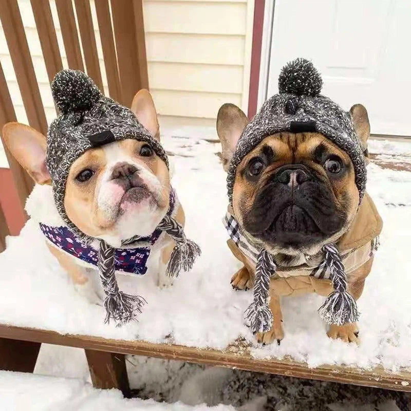 Winter Warm Dog Hats Windproof Knitting French Bulldog Hat For Dogs Chihuahua Hat Fluffy Ball Pet Hat Puppy Accessories Poochi Paws