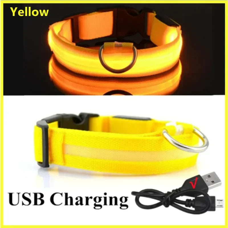 USB LED Glow Dog Collar