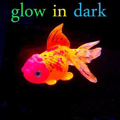 Glow-In-The-Dark Aquarium Floating Fish Decor AliExpress