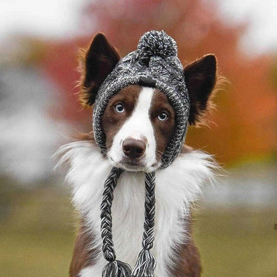 Winter Warm Dog Hats Windproof Knitting French Bulldog Hat For Dogs Chihuahua Hat Fluffy Ball Pet Hat Puppy Accessories Poochi Paws