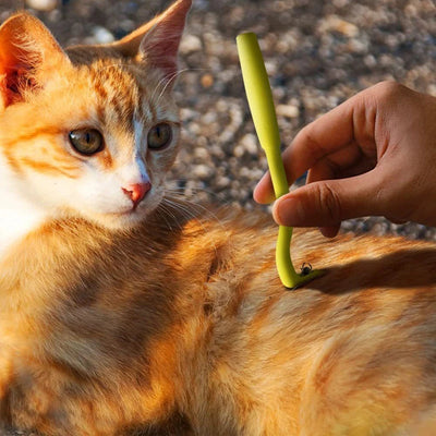 Tick & Flea Removal Kit