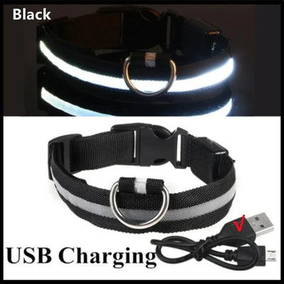 USB LED Glow Dog Collar