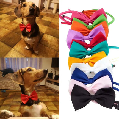 Formal Pet Bow Tie Collar