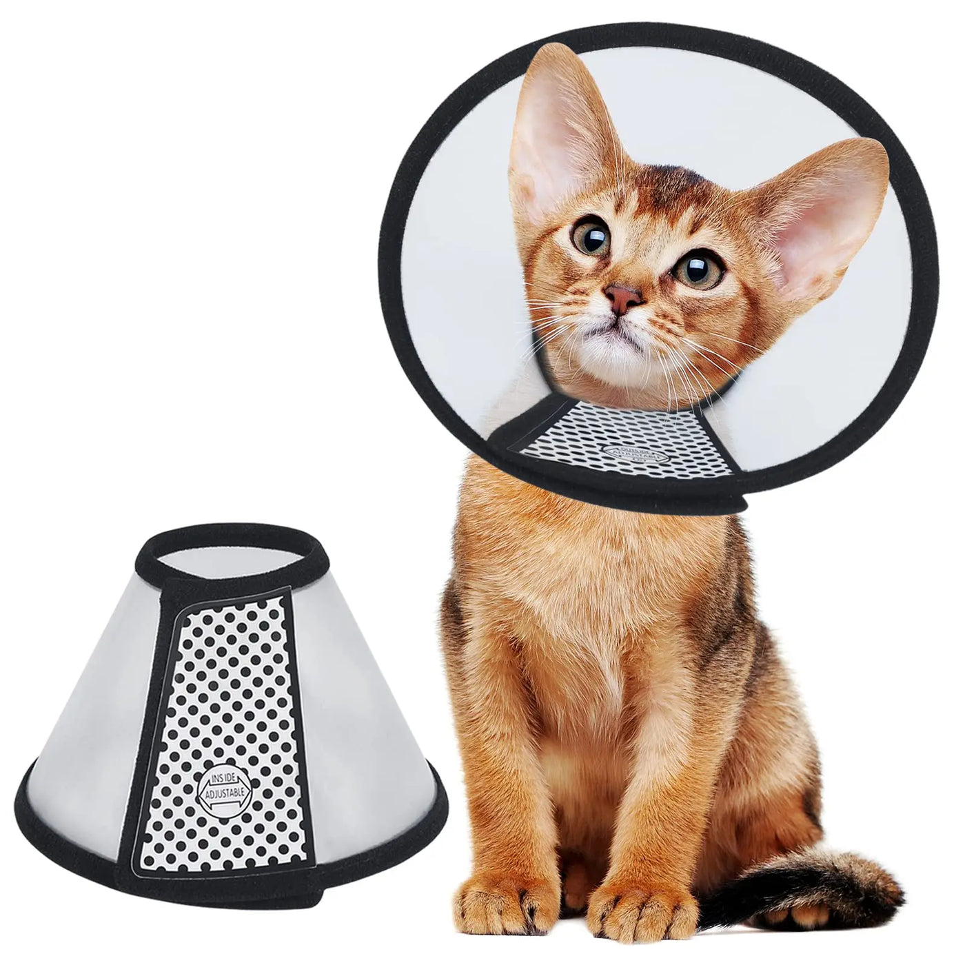 Adjustable Recovery Cone for Cats, Mini Dogs, & Rabbits AliExpress