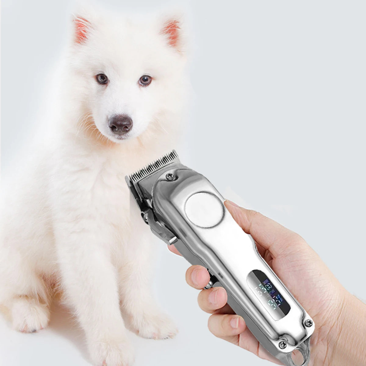 Professional Low-Noise Pet Hair Shaver & Clipper Set AliExpress