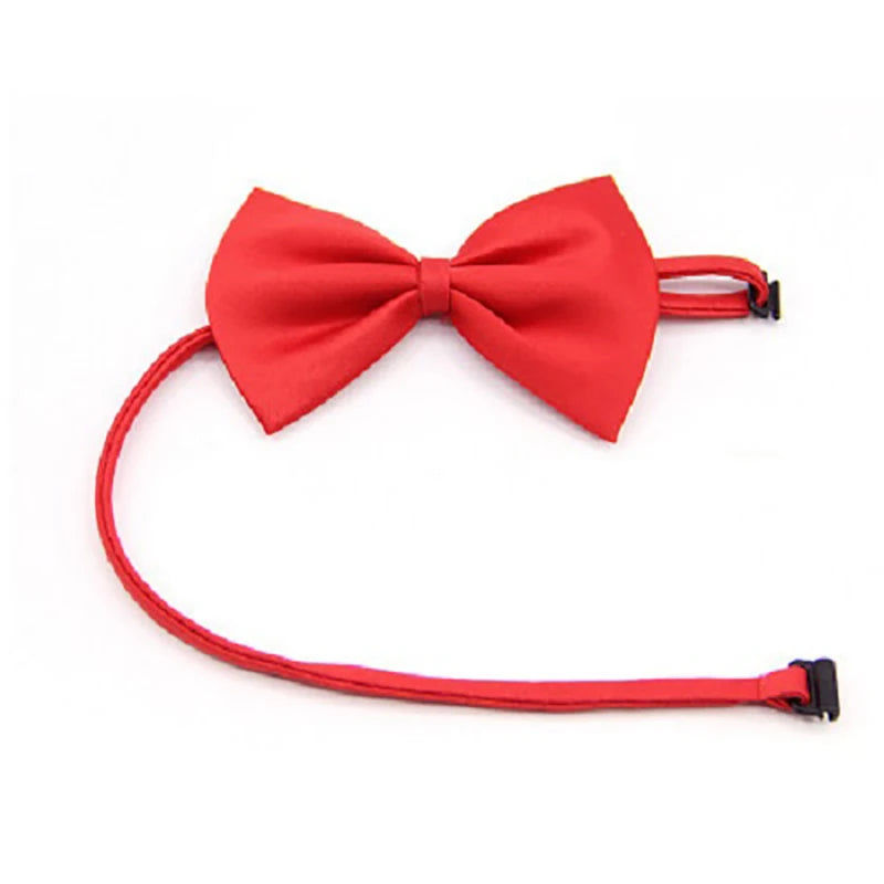 Formal Pet Bow Tie Collar