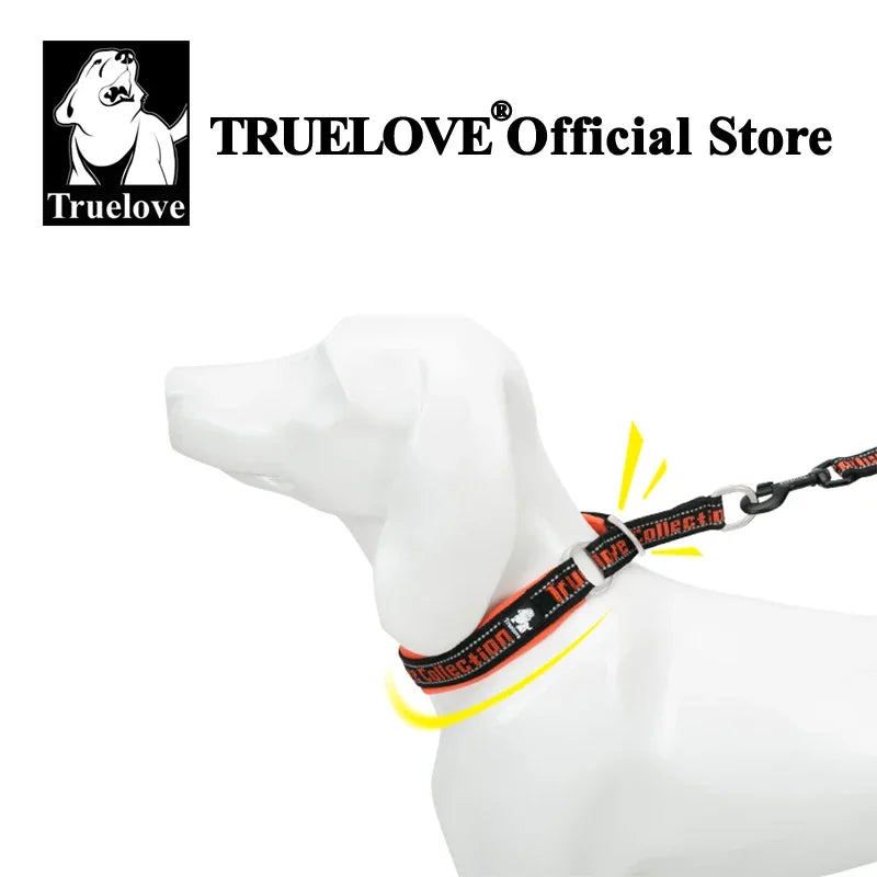 Neoprene Padded Dog Collar