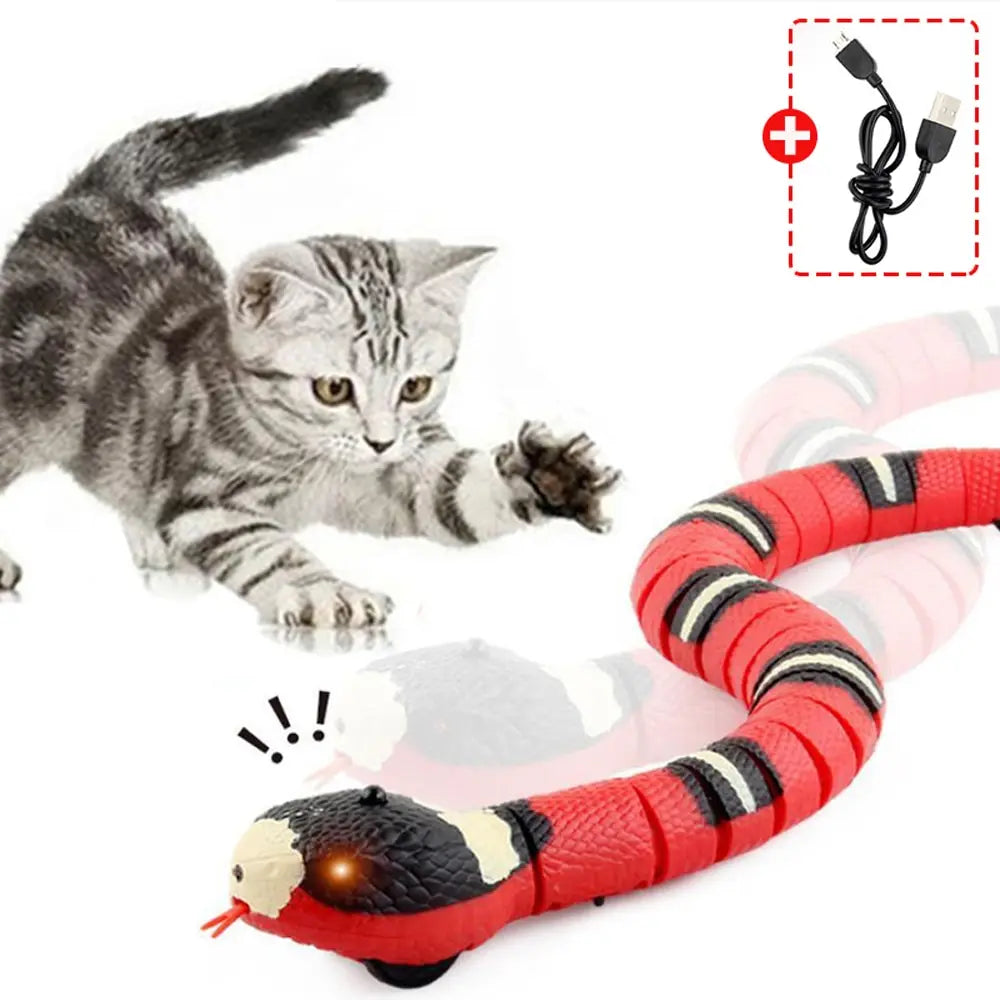 Interactive Smart Sensing Snake Toy for Cats & Kittens AliExpress